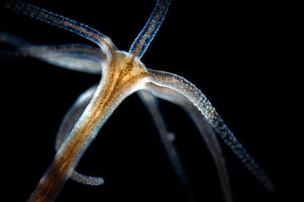 Какая сейчас ссылка на кракен