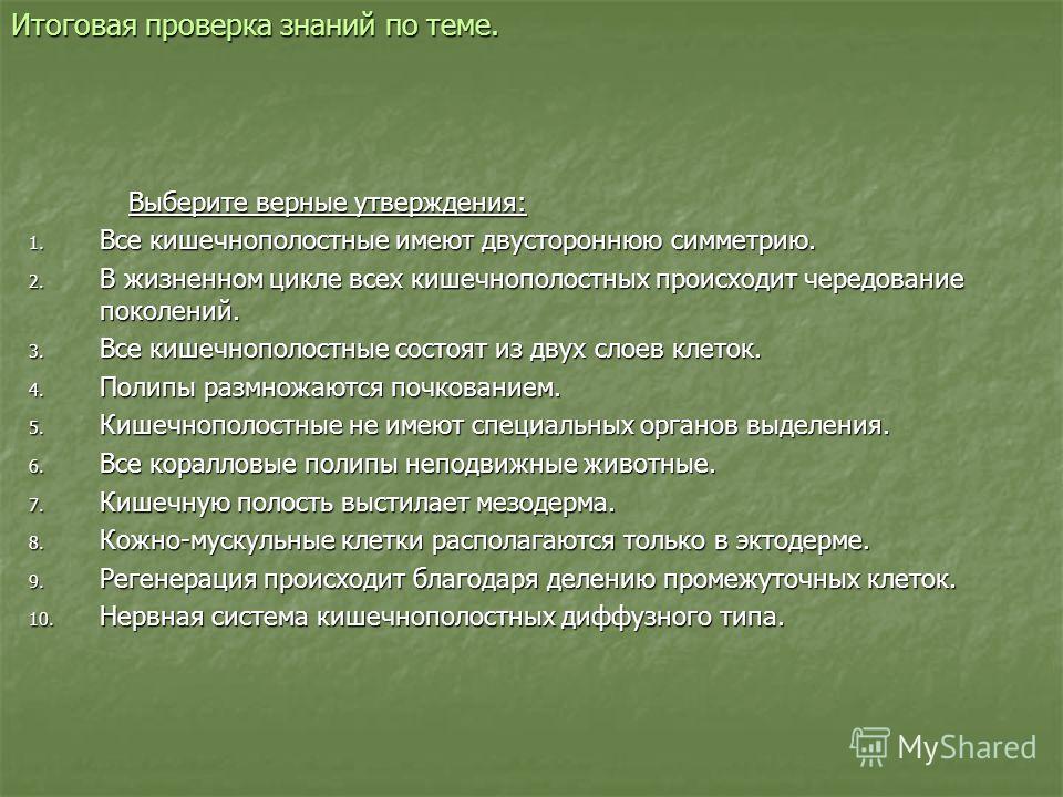 Кракен оф ссылка