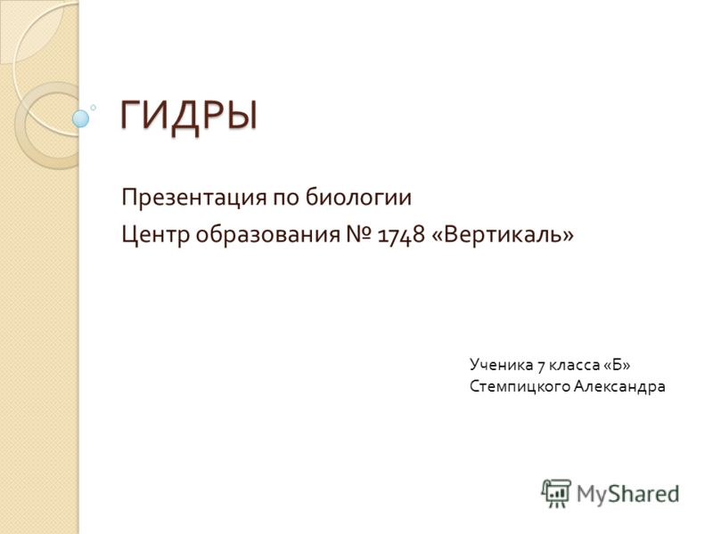 Kraken зеркало стор